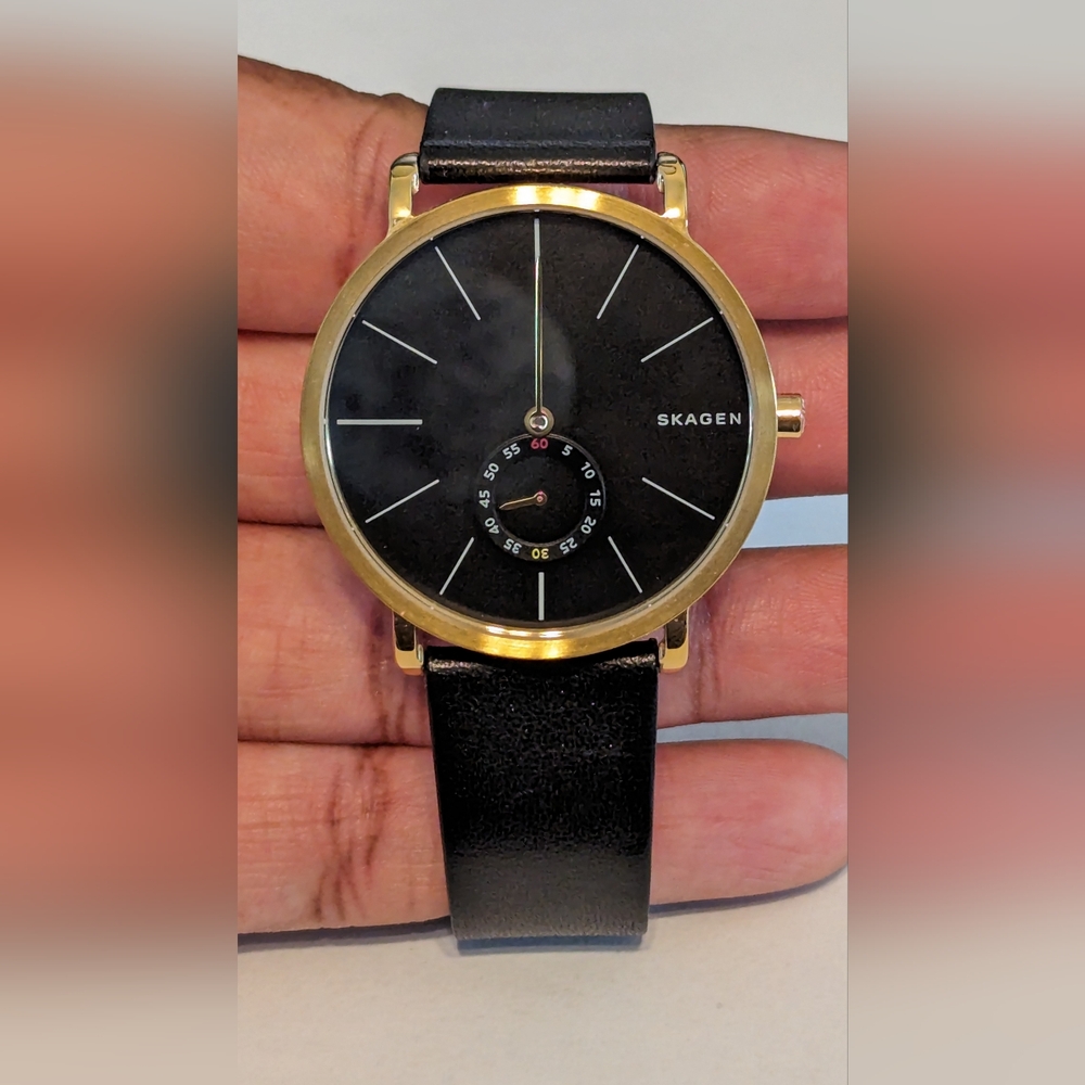 Skagen Hagen Watch